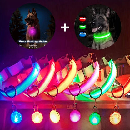 Usb Charging Glowing Collar With Pendant Detachable Luxury Led Light. For Small Dogs Cat Night Safety