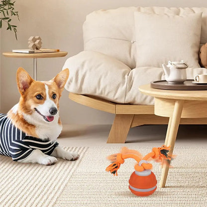 Pet Ball for Dogs. Interactive Toys. Motion Activate Rolling Ball for Puppy/Small Dogs. Automatic Moving Toy. USB Rechargeable Toy