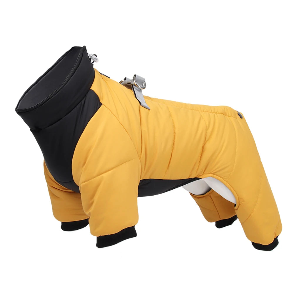 Waterproof Small Dog Coat With D Ring. Warm Pet Clothing for Medium Dogs. Best for a Chihuahua or Poodle.