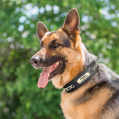 Custom Leather Dog Collar for Big Dogs. Genuine Leather ID Collar, Free Engraved Name For Small, Medium and Large Dogs. Metal Design