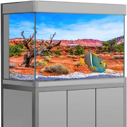Decoration  Aquarium Background Poster Desert Landscape. Self Adhesive Fish Tank Backing