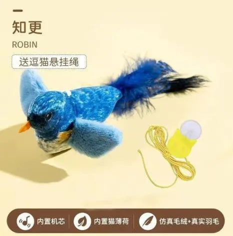Bird Cat Toys. Indoor, Interactive Cat Toy for Cats. Chasing, Teasing, Sounding Toy. Catnip Cat Teaser Toy.  Wall Hanging