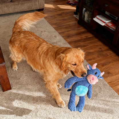 Durable Interactive Plush Dog Toy. Soft Large Companion Toy for Small Medium Large Dogs