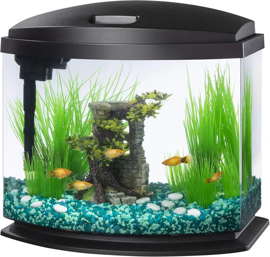 5 Gallon Small Aquarium Fish Tank Kit with LED Light and Easy-Clean Filter, Black
