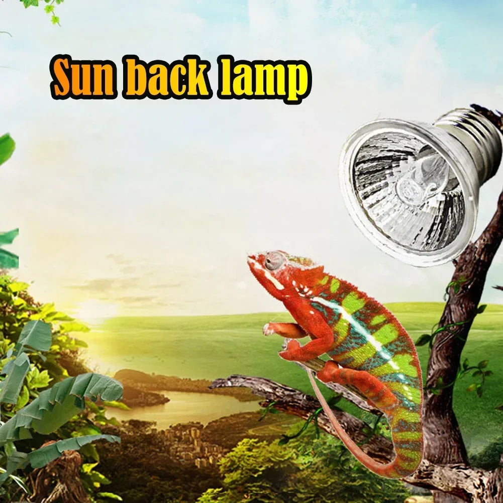 1-10PCS 25/50/75W UVA+UVB Reptile Lamp Bulb. Turtle Basking UV Light Bulbs. Heating Light ,Full Spectrum Sunlamp for Amphibians